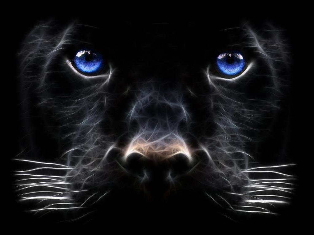 Awesome Panther free background ID:357204 for hd 1024x768 desktop
