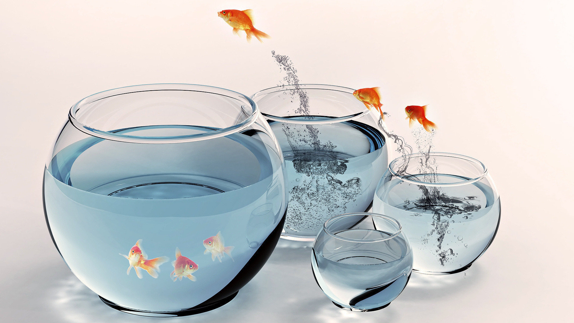Free Goldfish high quality background ID:464109 for hd 1080p desktop