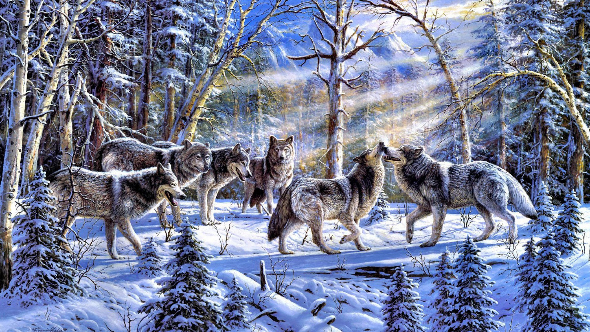 Best Wolf wallpaper ID:118004 for High Resolution 1080p PC