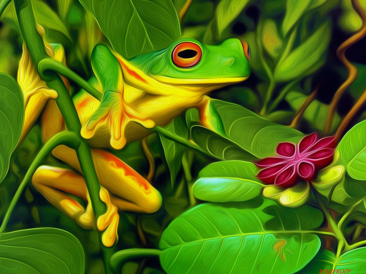 Free download Red Eyed Tree Frog wallpaper ID:20213 hd 1280x960 for desktop