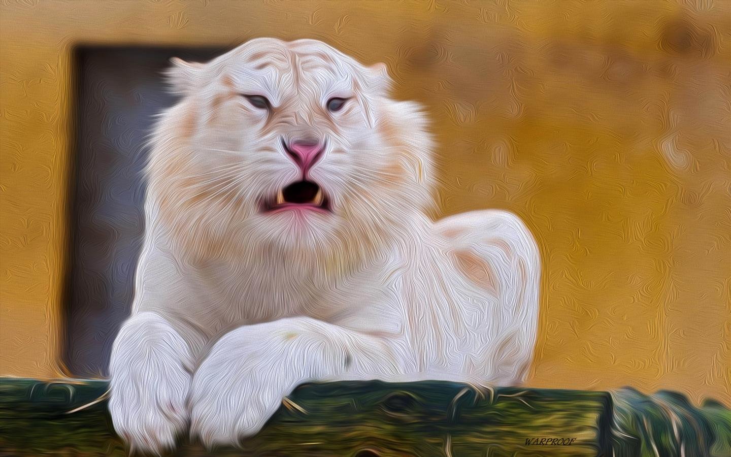 Download hd 1440x900 White Lion computer background ID:237714 for free