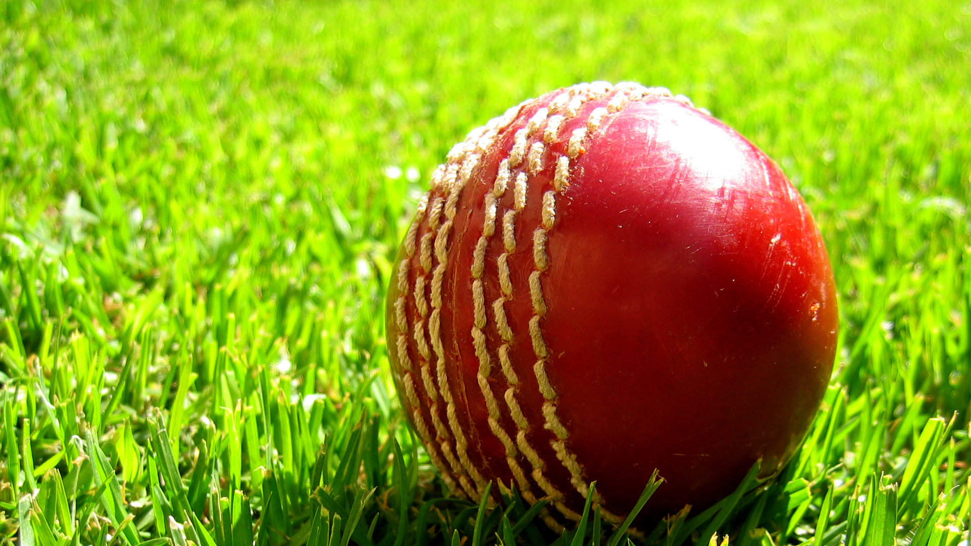 Best Cricket background ID:450861 for High Resolution full hd 1080p computer
