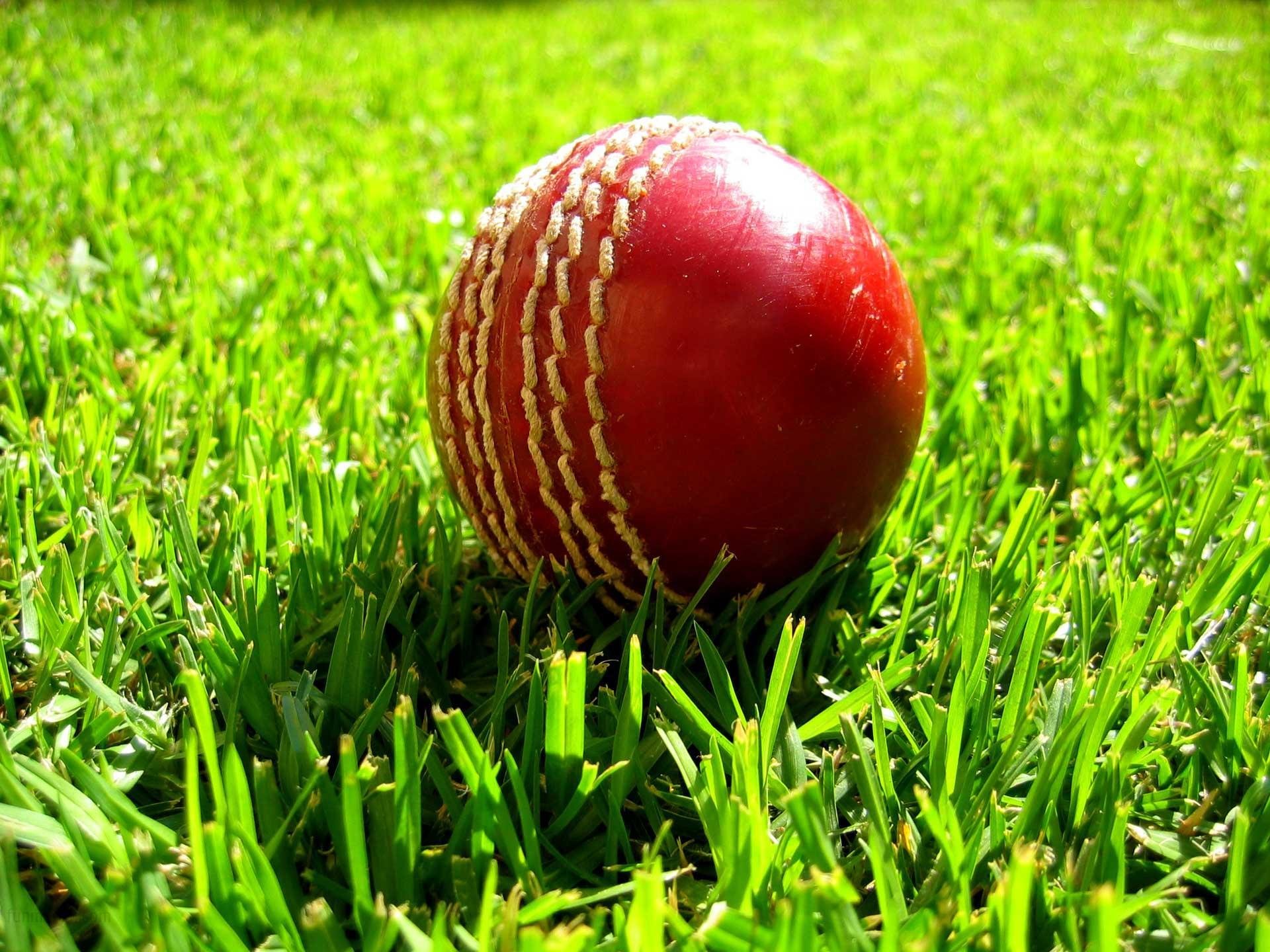 Free download Cricket wallpaper ID:450872 hd 1920x1440 for computer