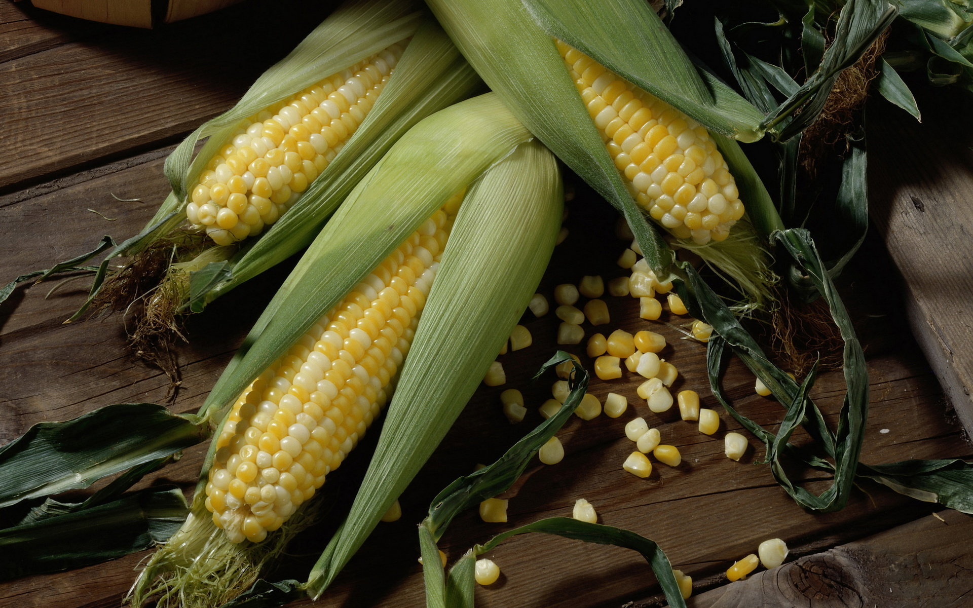 Awesome Corn free background ID:100671 for hd 1920x1200 PC