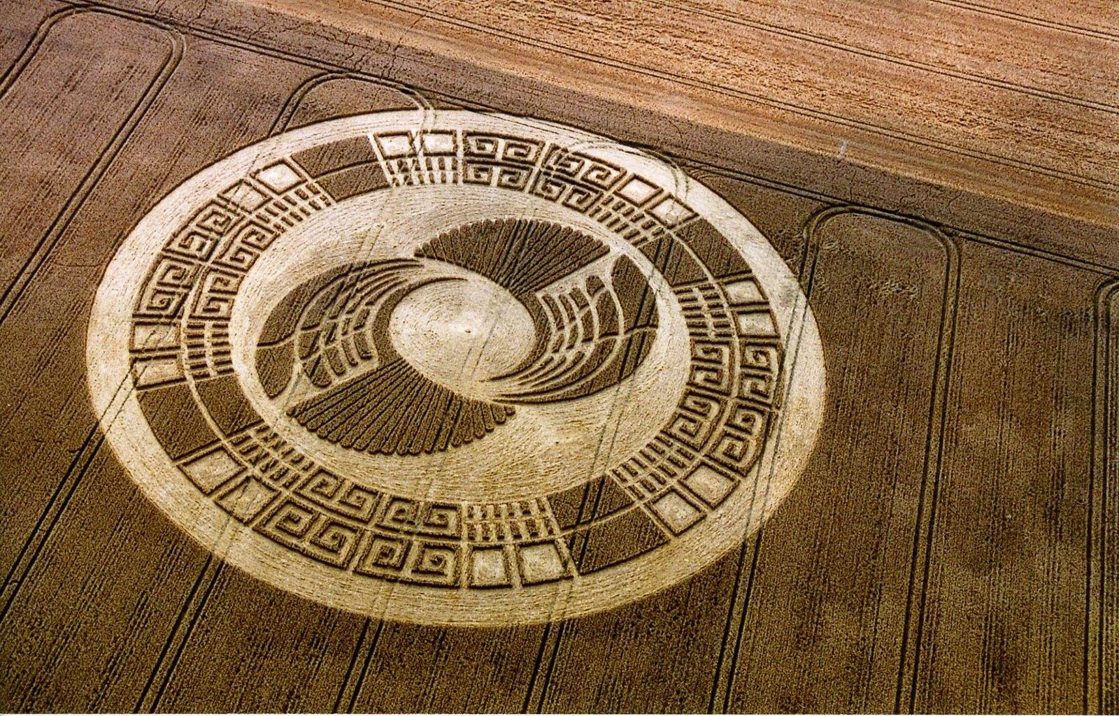 Free Crop Circles high quality wallpaper ID:495027 for hd 1600x1024 computer