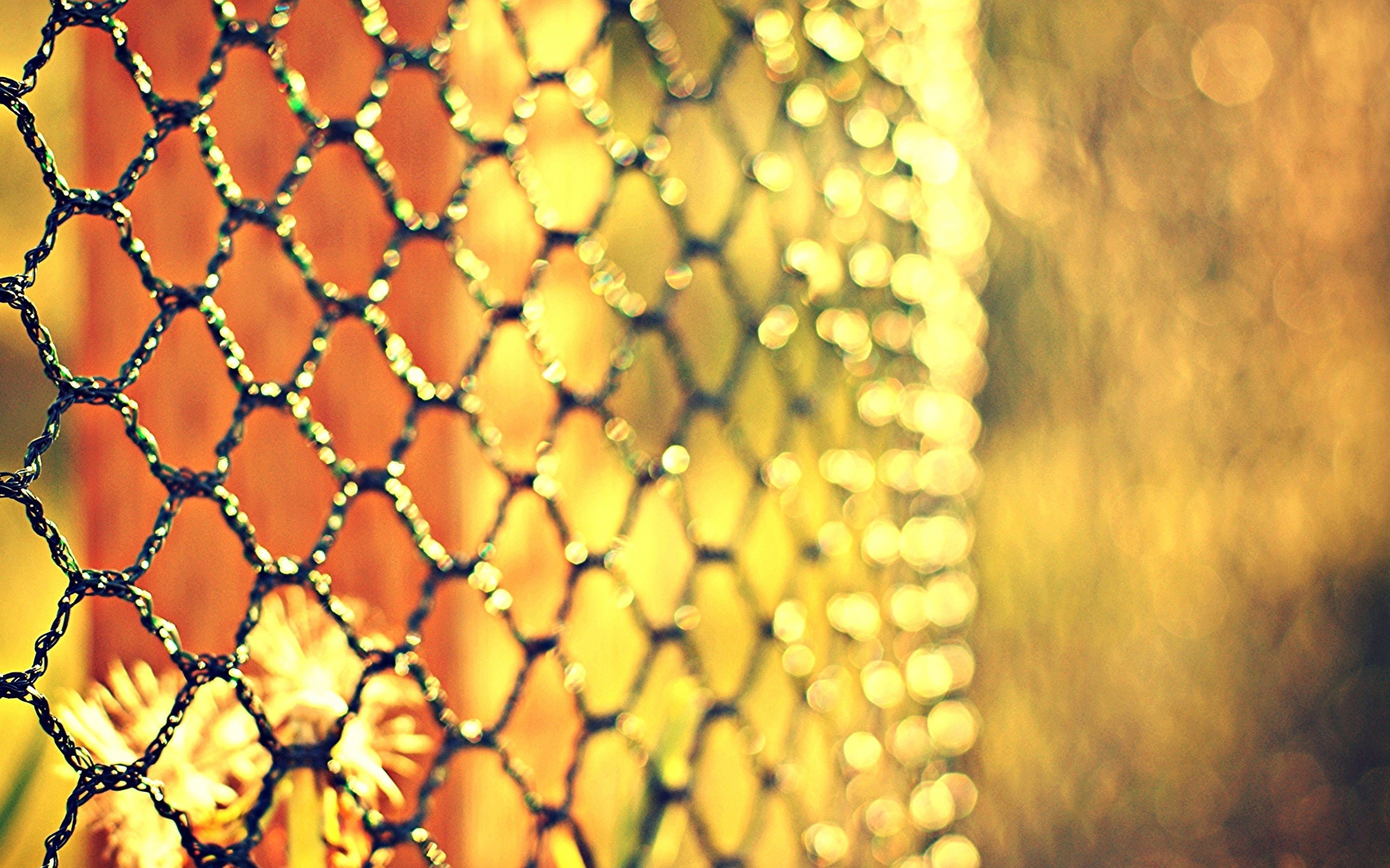 Best Fence background ID:22988 for High Resolution hd 2880x1800 PC
