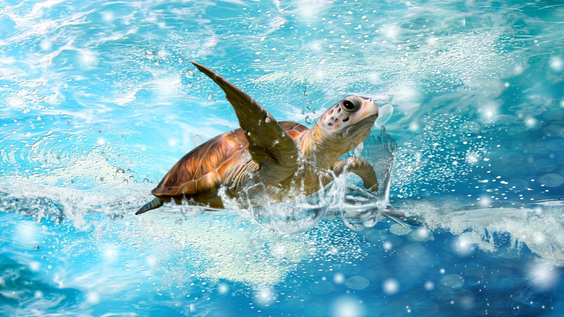 Awesome Sea Turtle free wallpaper ID:150748 for 1080p computer