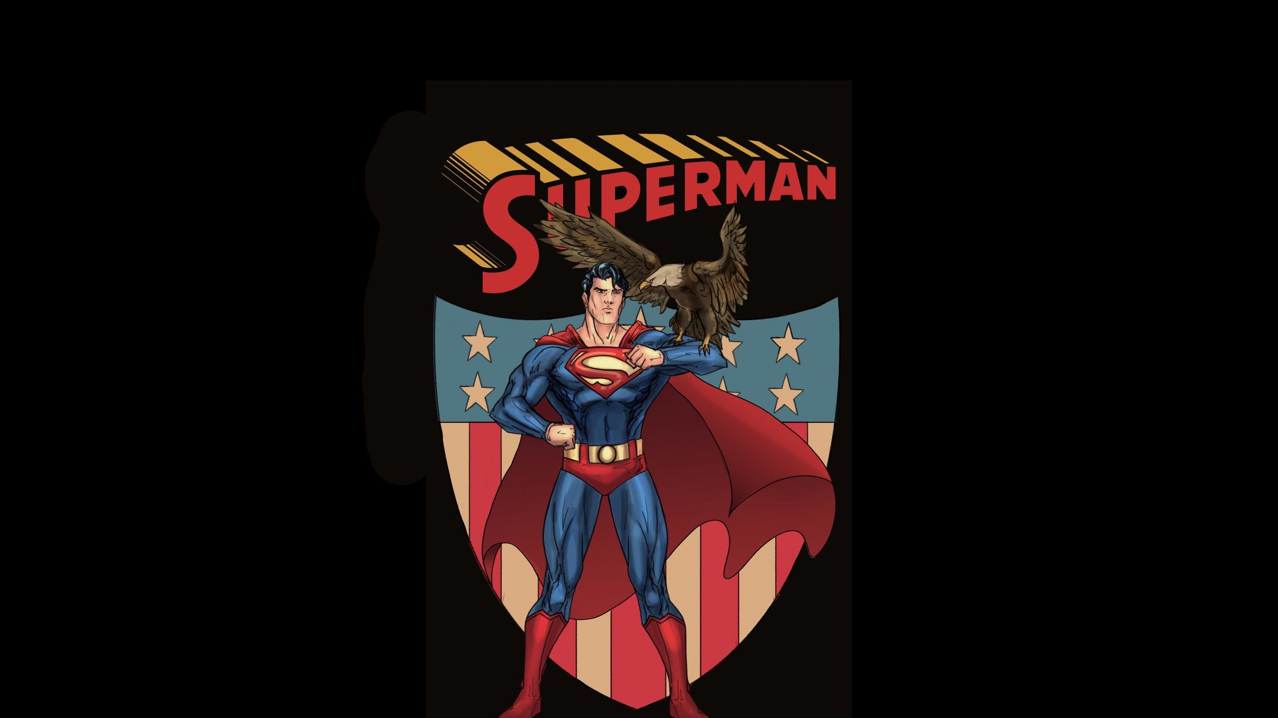 Download hd 2560x1440 Superman desktop wallpaper ID:456218 for free