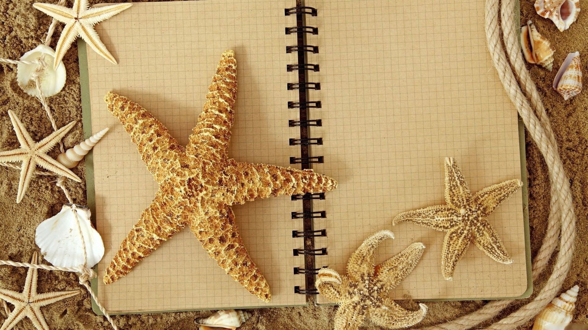 Awesome Starfish free wallpaper ID:29674 for hd 1920x1080 PC