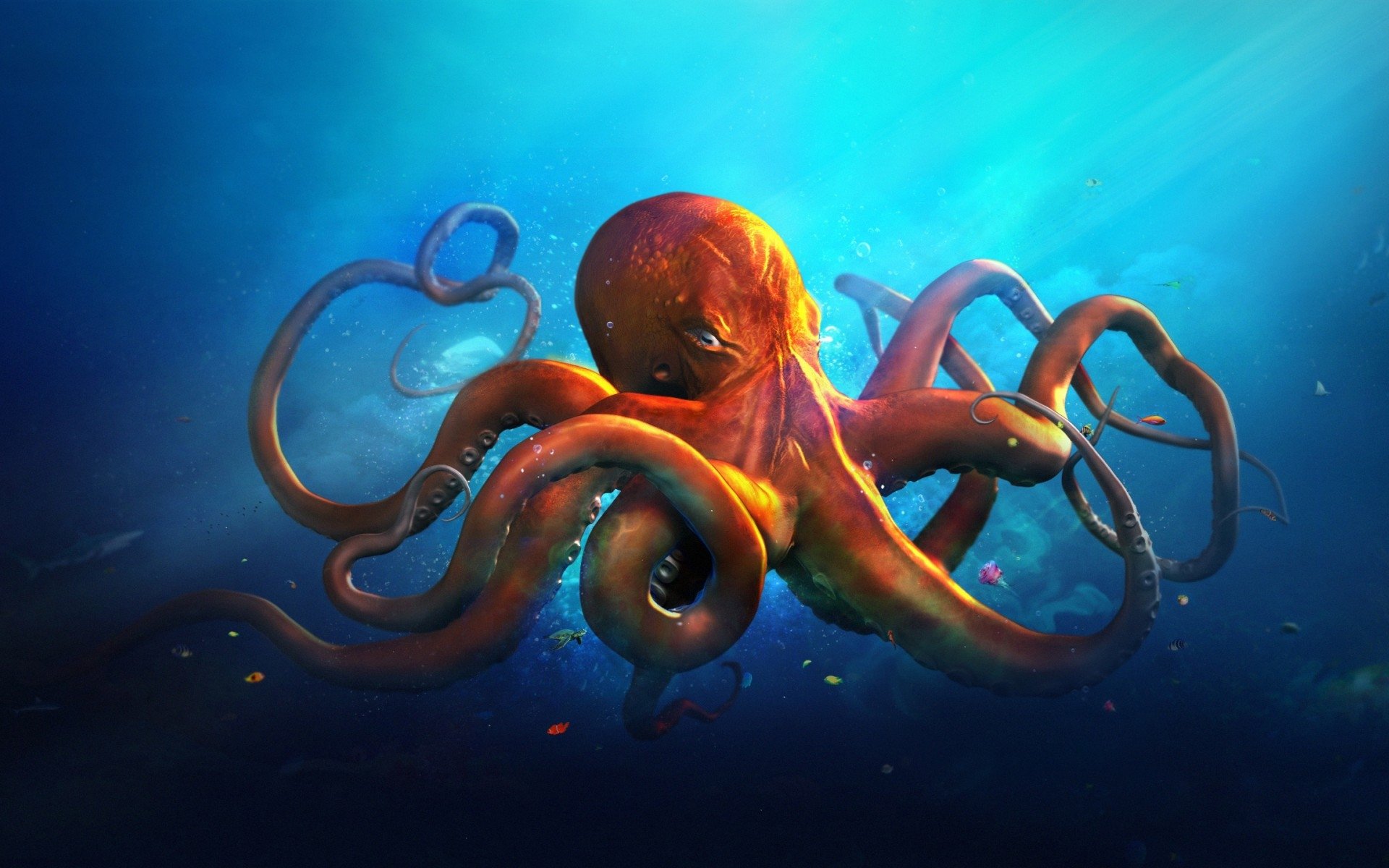 Download hd 1920x1200 Octopus PC wallpaper ID:350567 for free