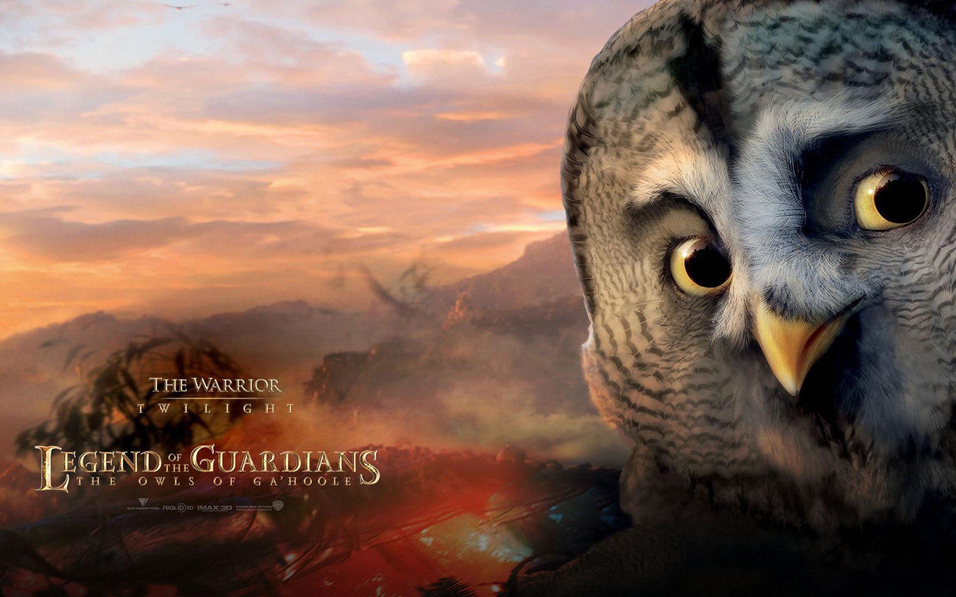 High resolution Legend Of The Guardians: The Owls Of Ga'Hoole hd 1920x1200 background ID:54446 for desktop