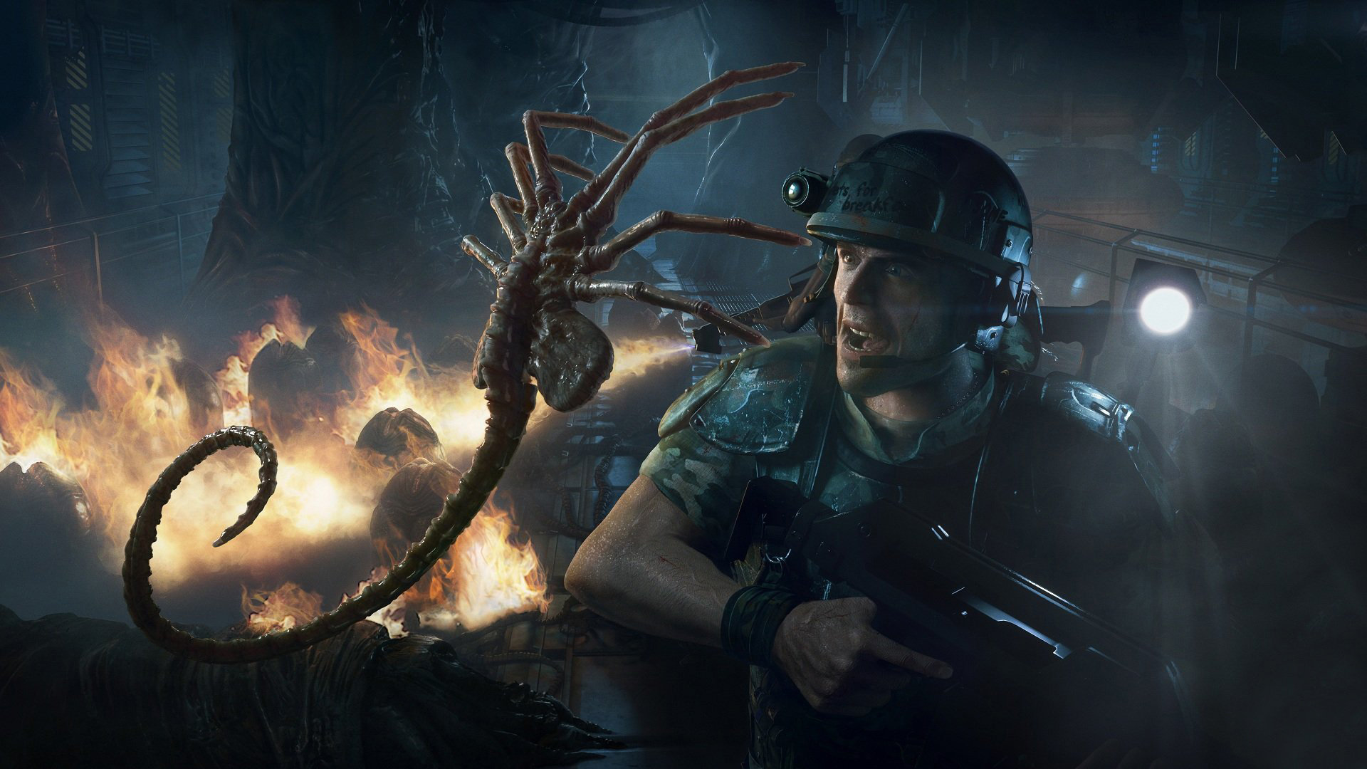 Free Aliens: Colonial Marines high quality background ID:276095 for full hd PC