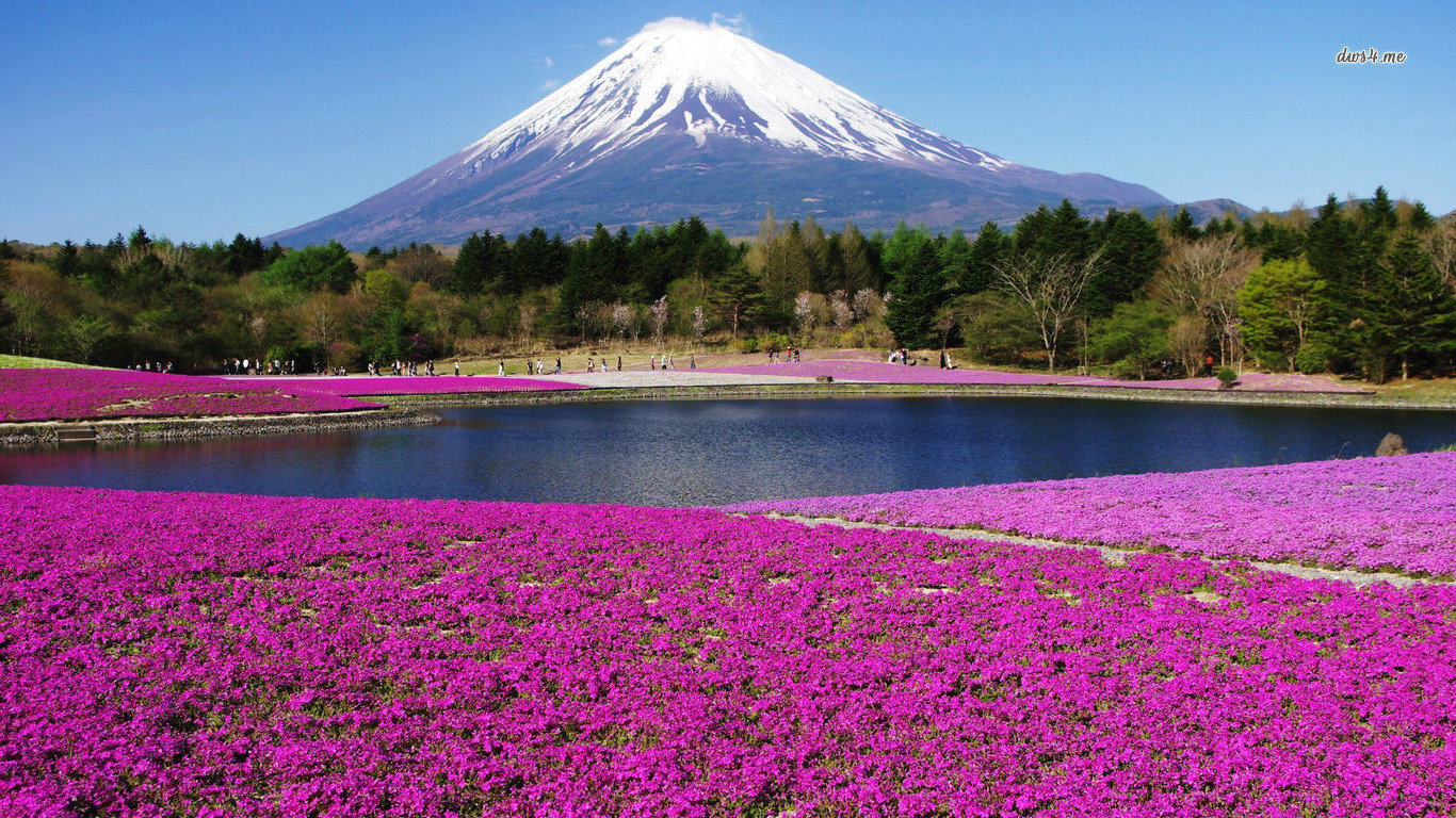 Download hd 1366x768 Mount Fuji desktop background ID:277733 for free