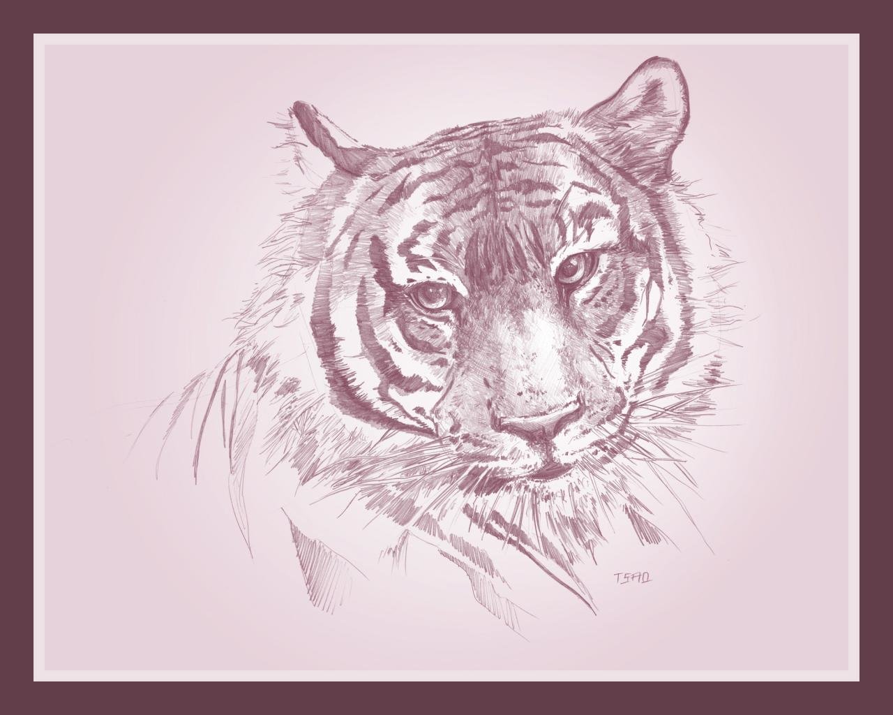 Awesome Tiger free background ID:116074 for hd 1280x1024 PC