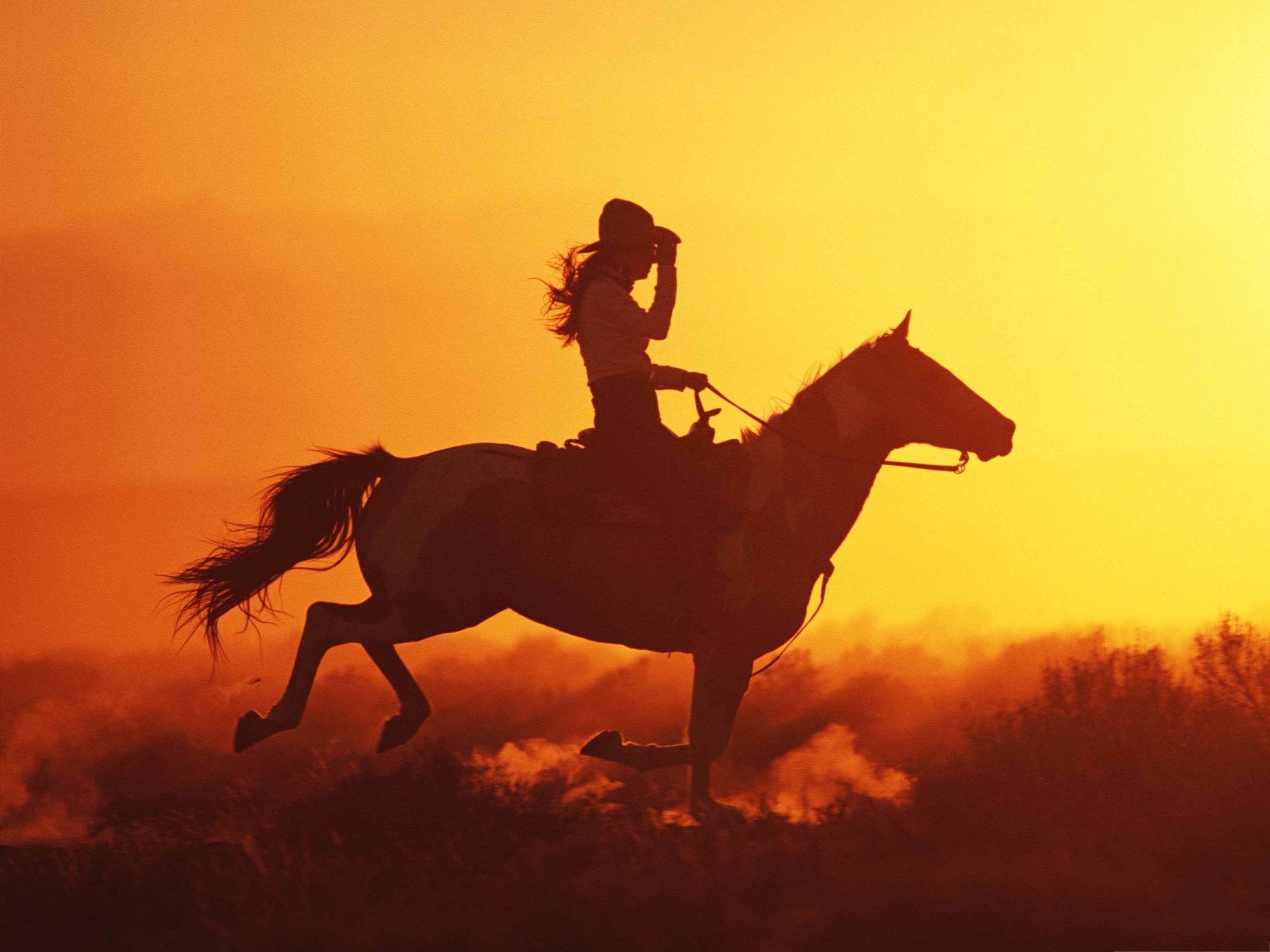 Download hd 3200x2400 Cowgirl computer background ID:379257 for free