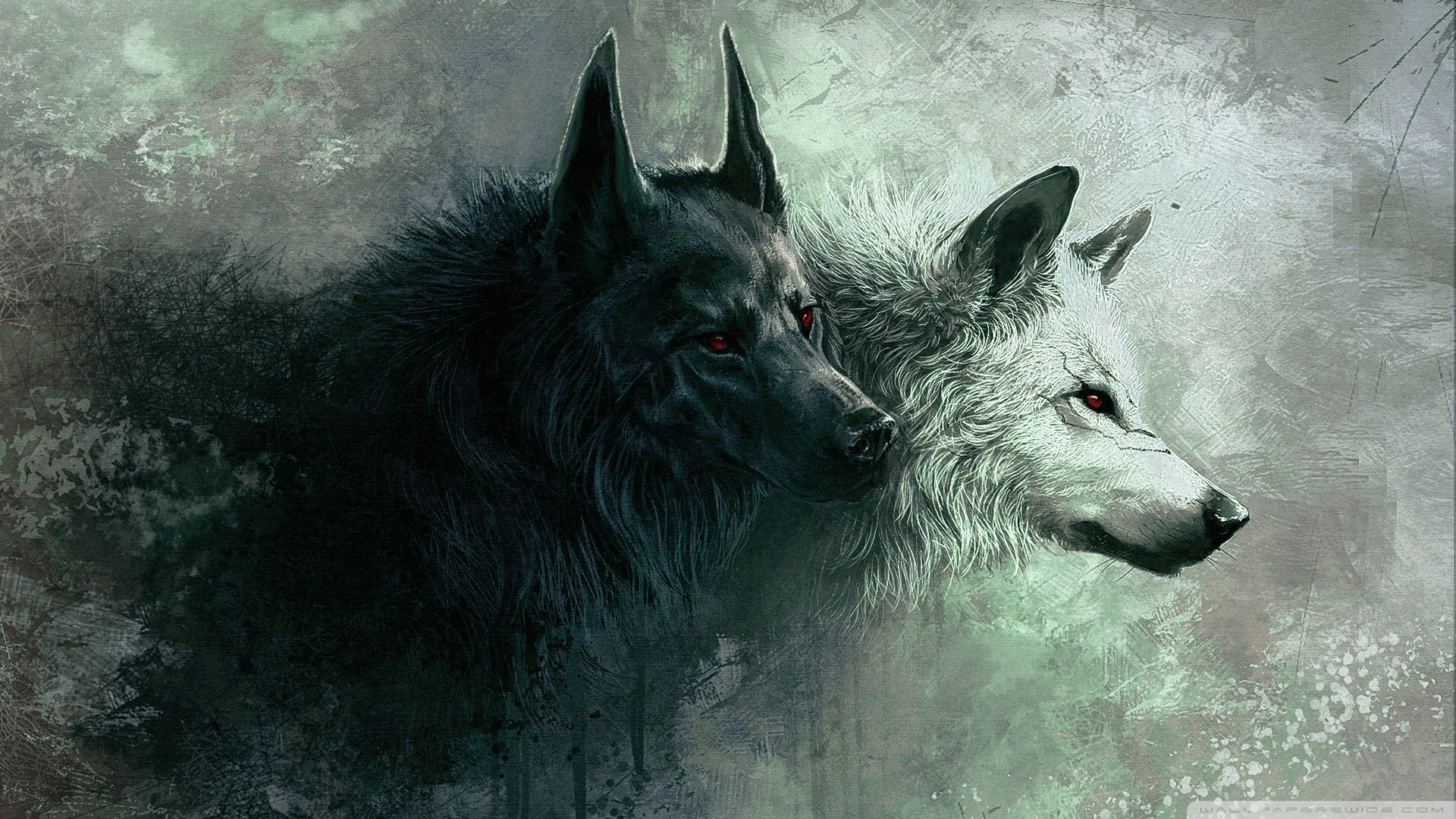 High resolution Wolf hd 1080p wallpaper ID:117617 for PC
