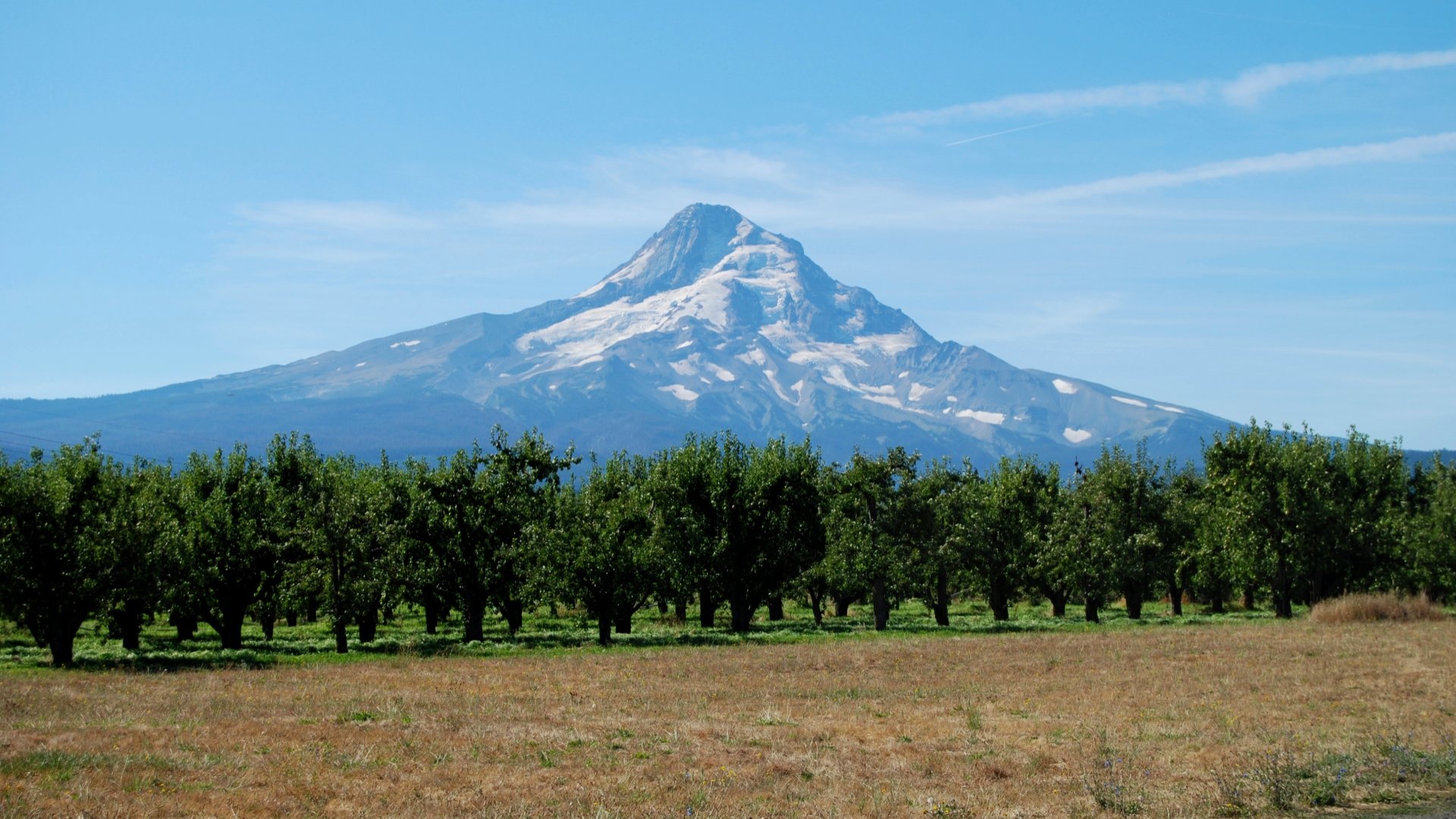 Free download Mount Hood background ID:234942 1080p for PC