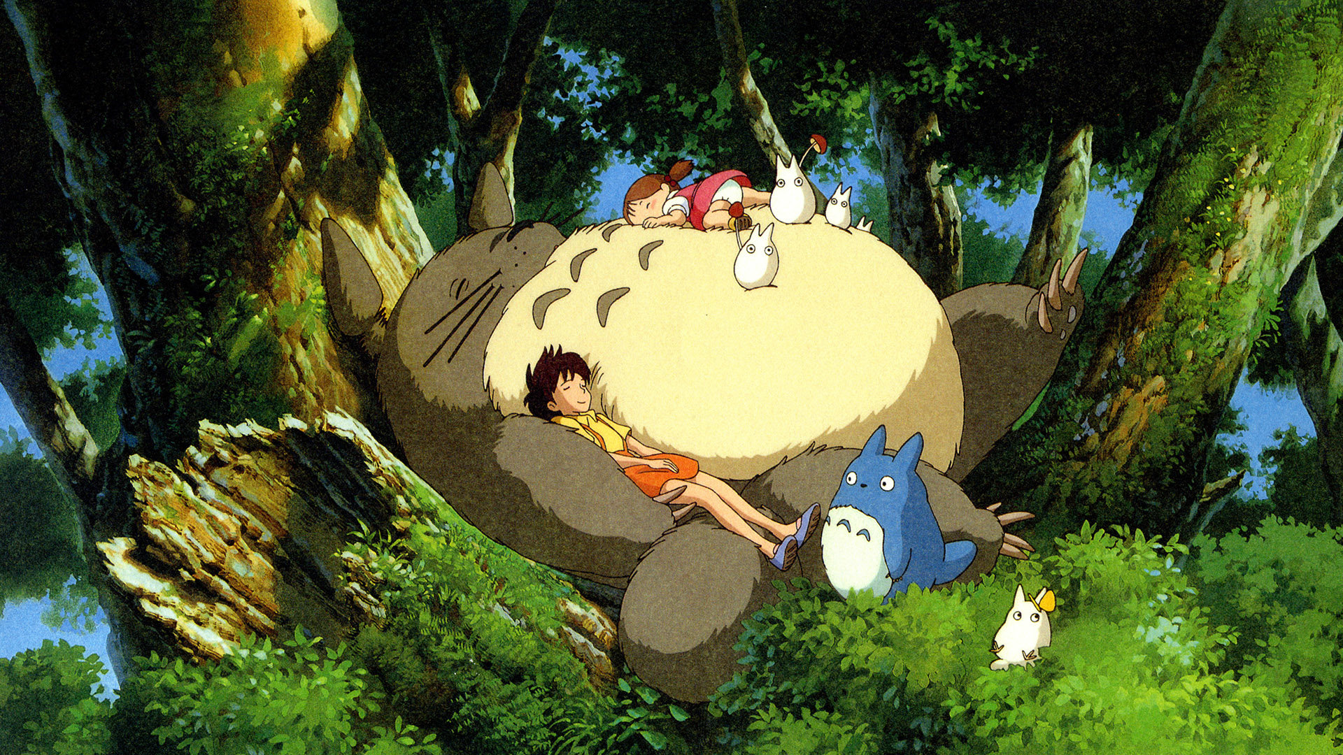 Best My Neighbor Totoro wallpaper ID:259329 for High Resolution full hd computer