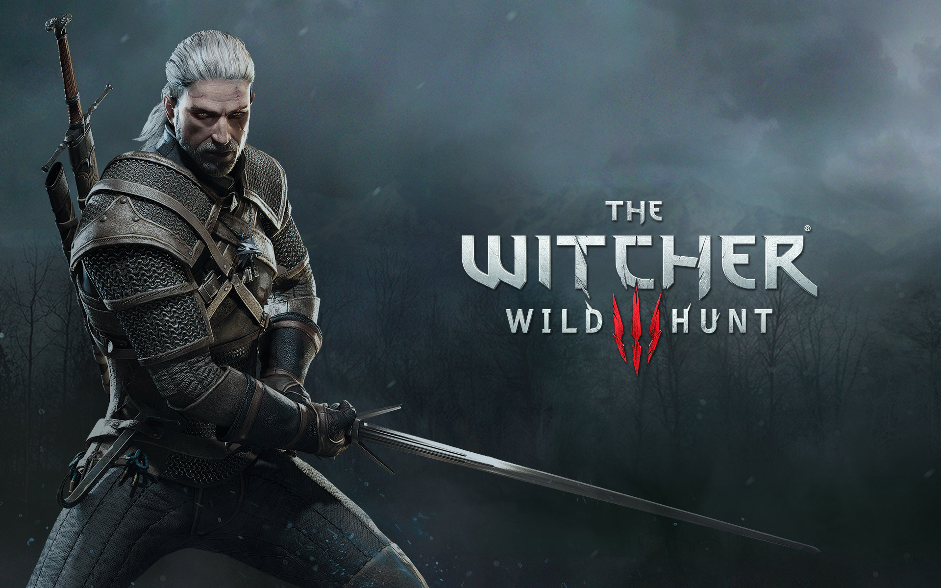 Best The Witcher 3: Wild Hunt background ID:17904 for High Resolution hd 1920x1200 computer
