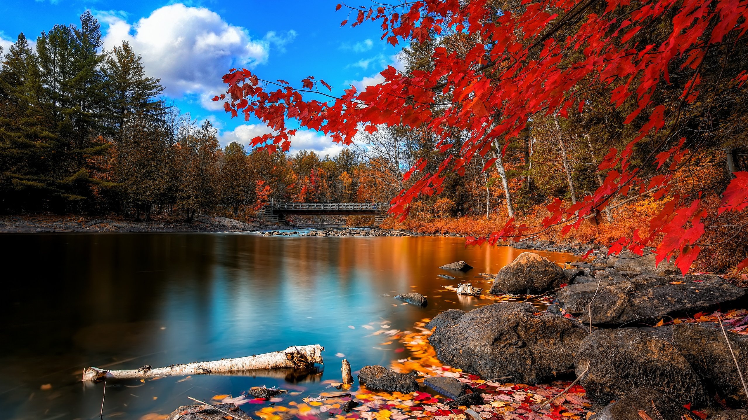 Download hd 2560x1440 Fall computer background ID:20814 for free