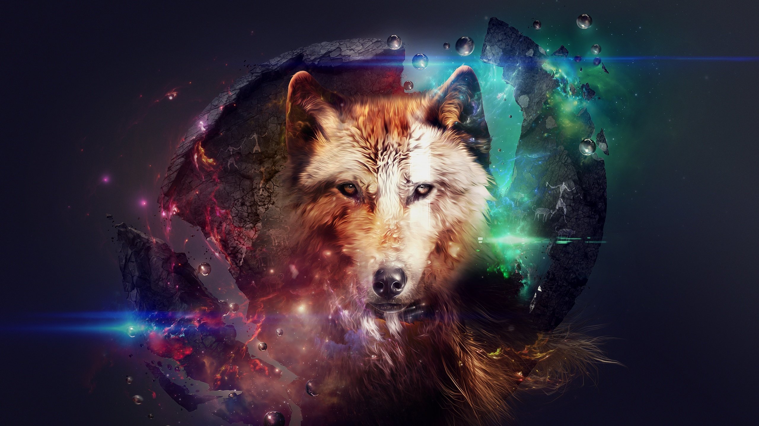 Free download Wolf background ID:117600 hd 2560x1440 for PC