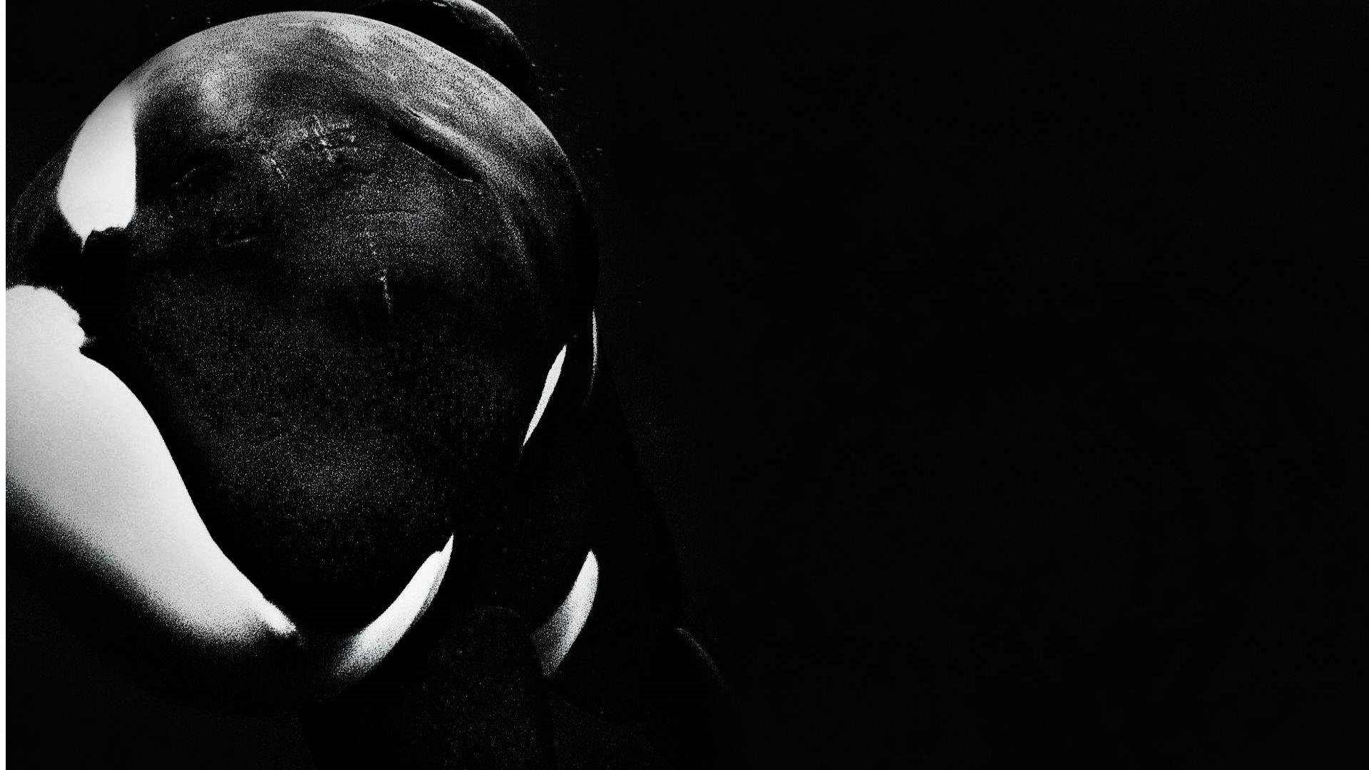 Best Orca wallpaper ID:384453 for High Resolution full hd 1920x1080 computer