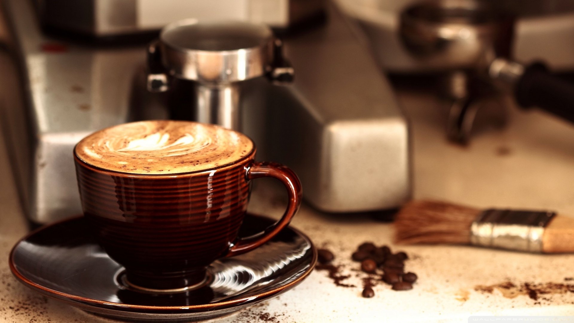 High resolution Cappuccino hd 1920x1080 background ID:129570 for PC