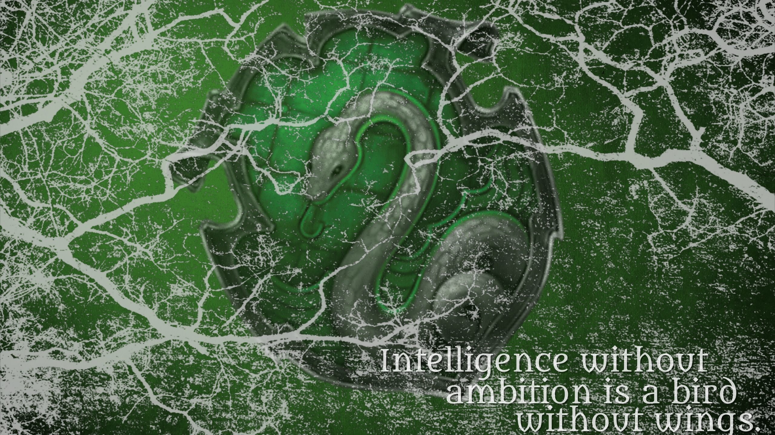 Free Slytherin high quality background ID:463346 for hd 2560x1440 computer