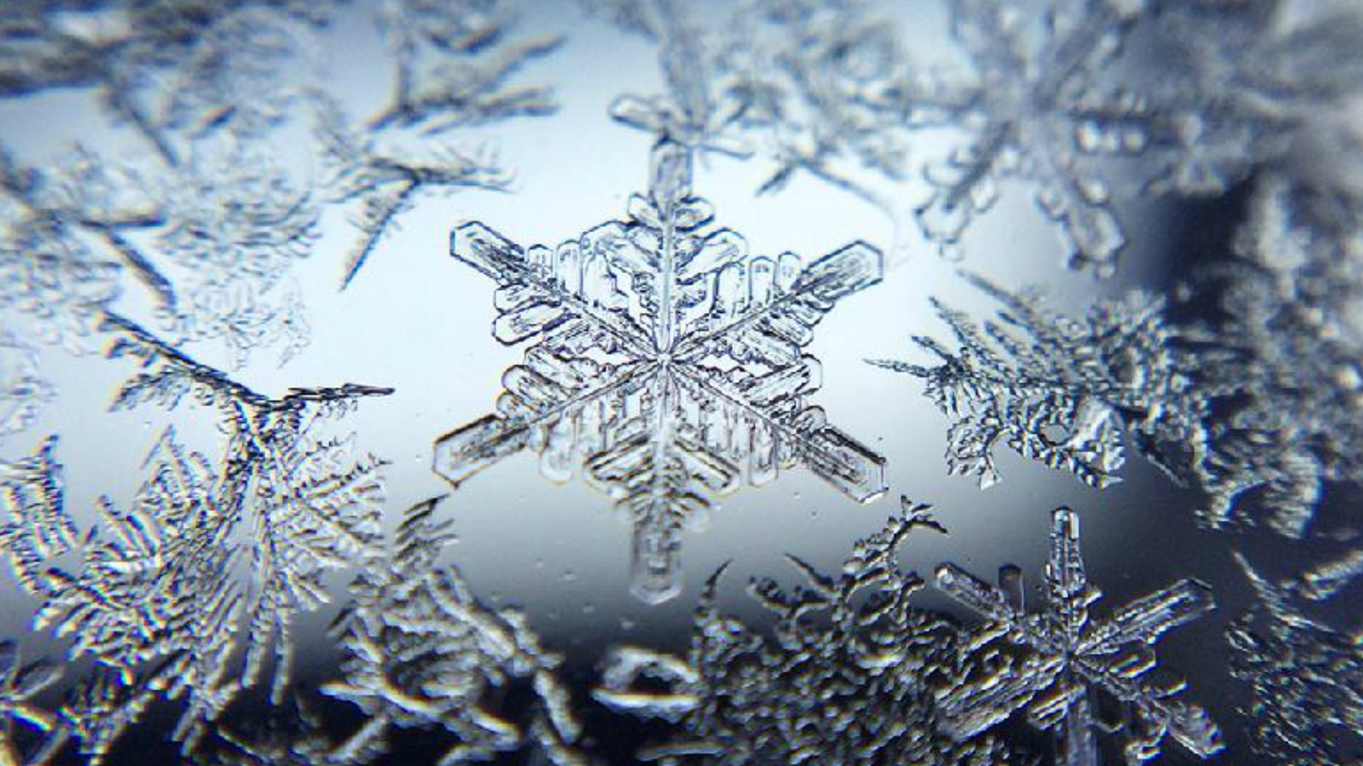 Free Snowflake high quality background ID:45440 for full hd 1080p PC
