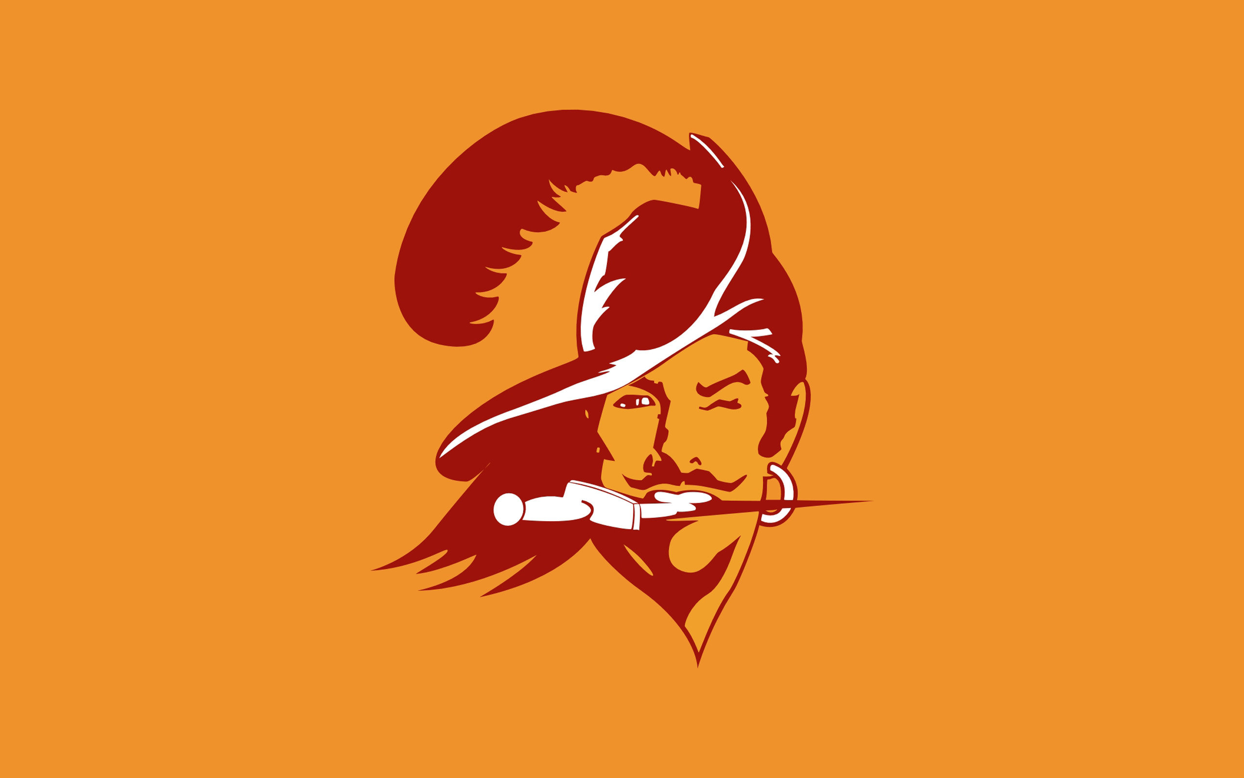 Free Tampa Bay Buccaneers high quality wallpaper ID:432399 for hd 2560x1600 PC