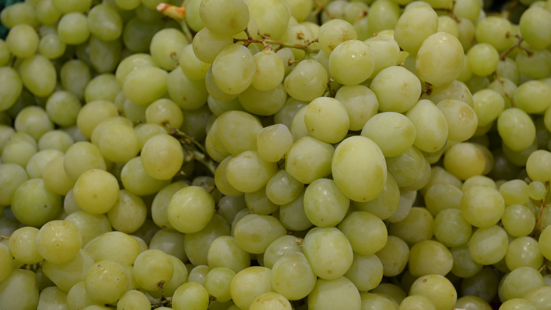 Awesome Grapes free wallpaper ID:420826 for hd 1920x1080 computer