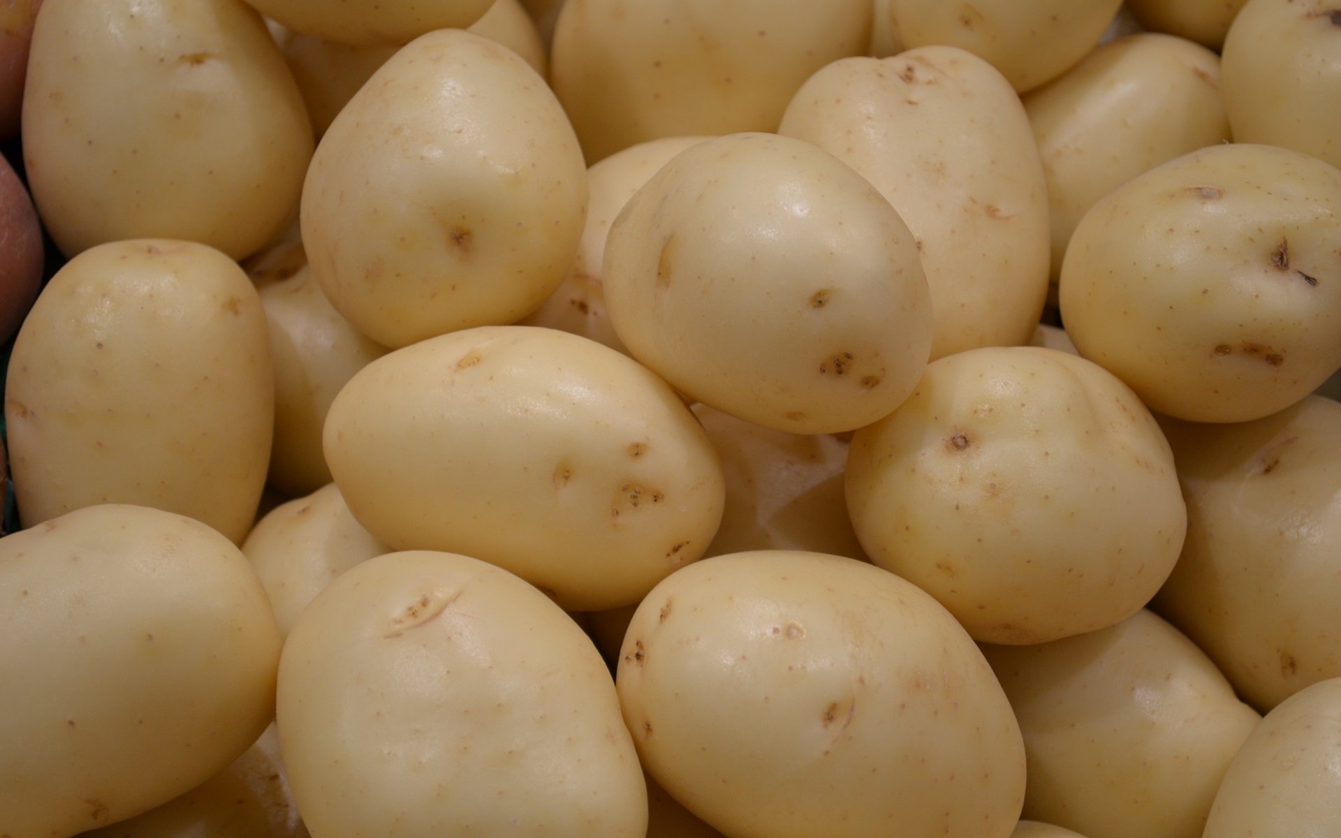 High resolution Potato hd 1920x1200 background ID:315043 for PC