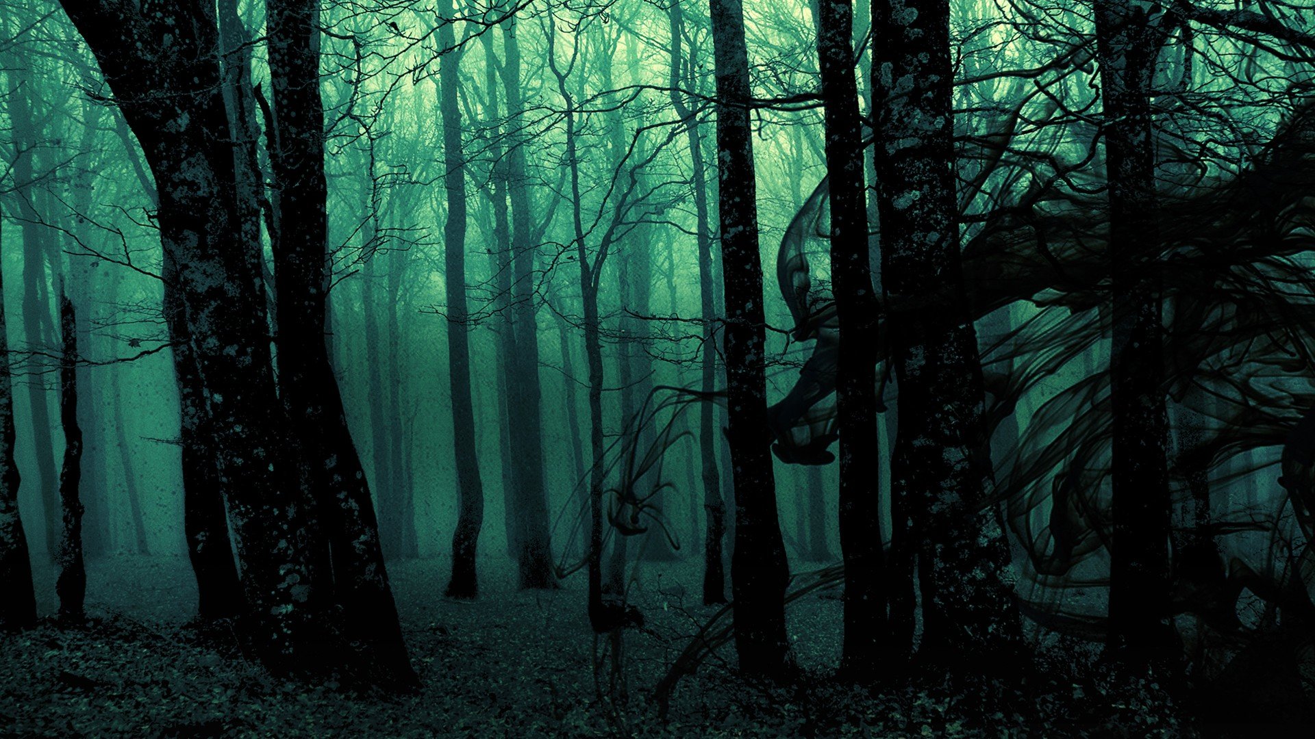 Free Dark forest high quality wallpaper ID:90353 for full hd PC