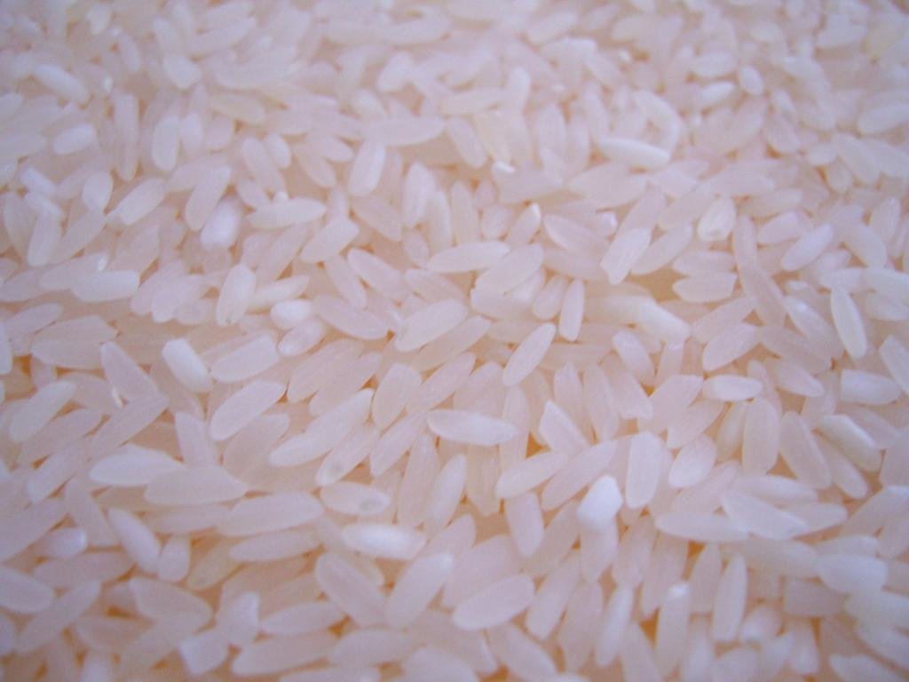 Awesome Rice free wallpaper ID:144300 for hd 1024x768 desktop