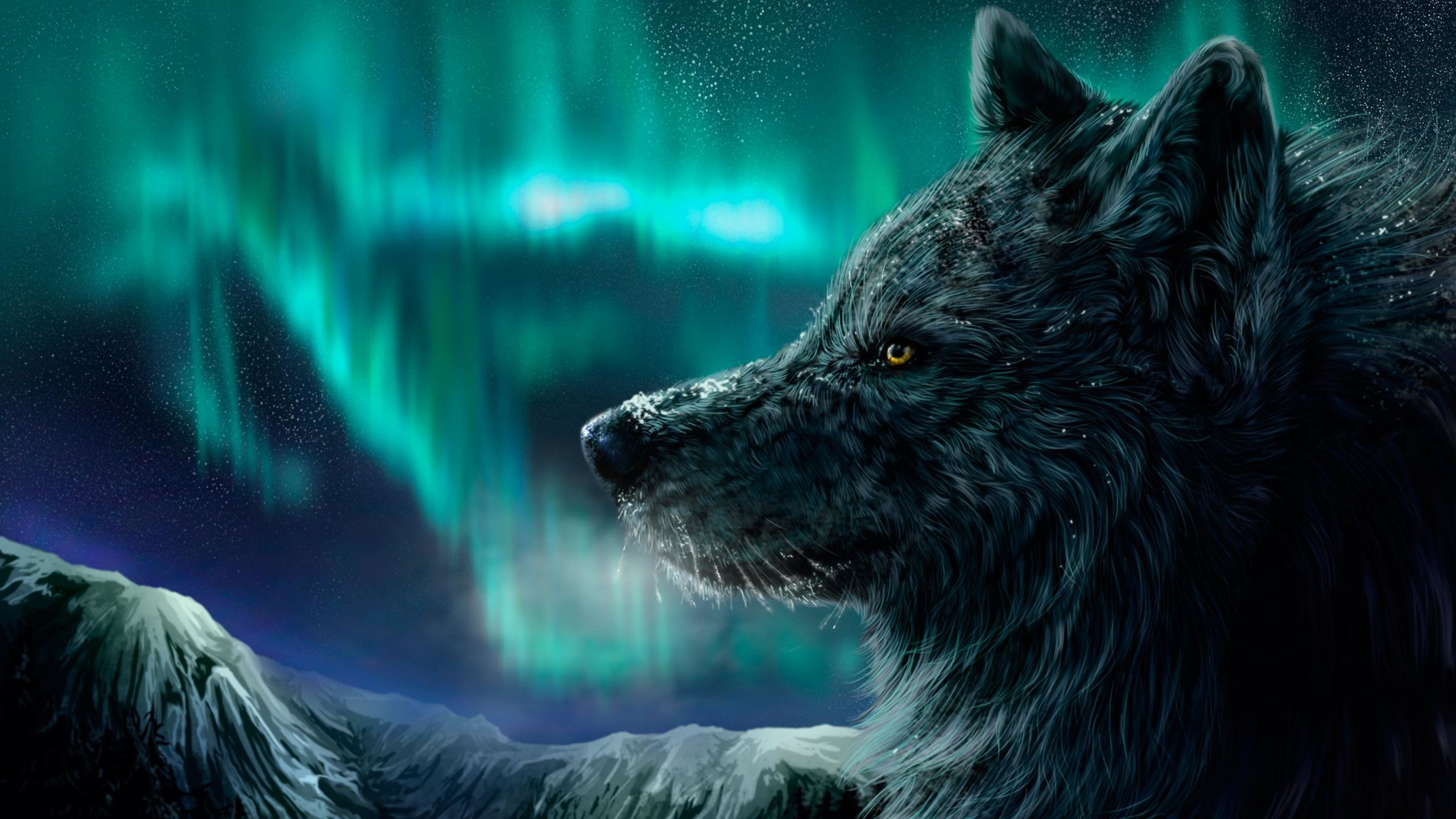 Best Wolf wallpaper ID:118080 for High Resolution hd 2560x1440 PC