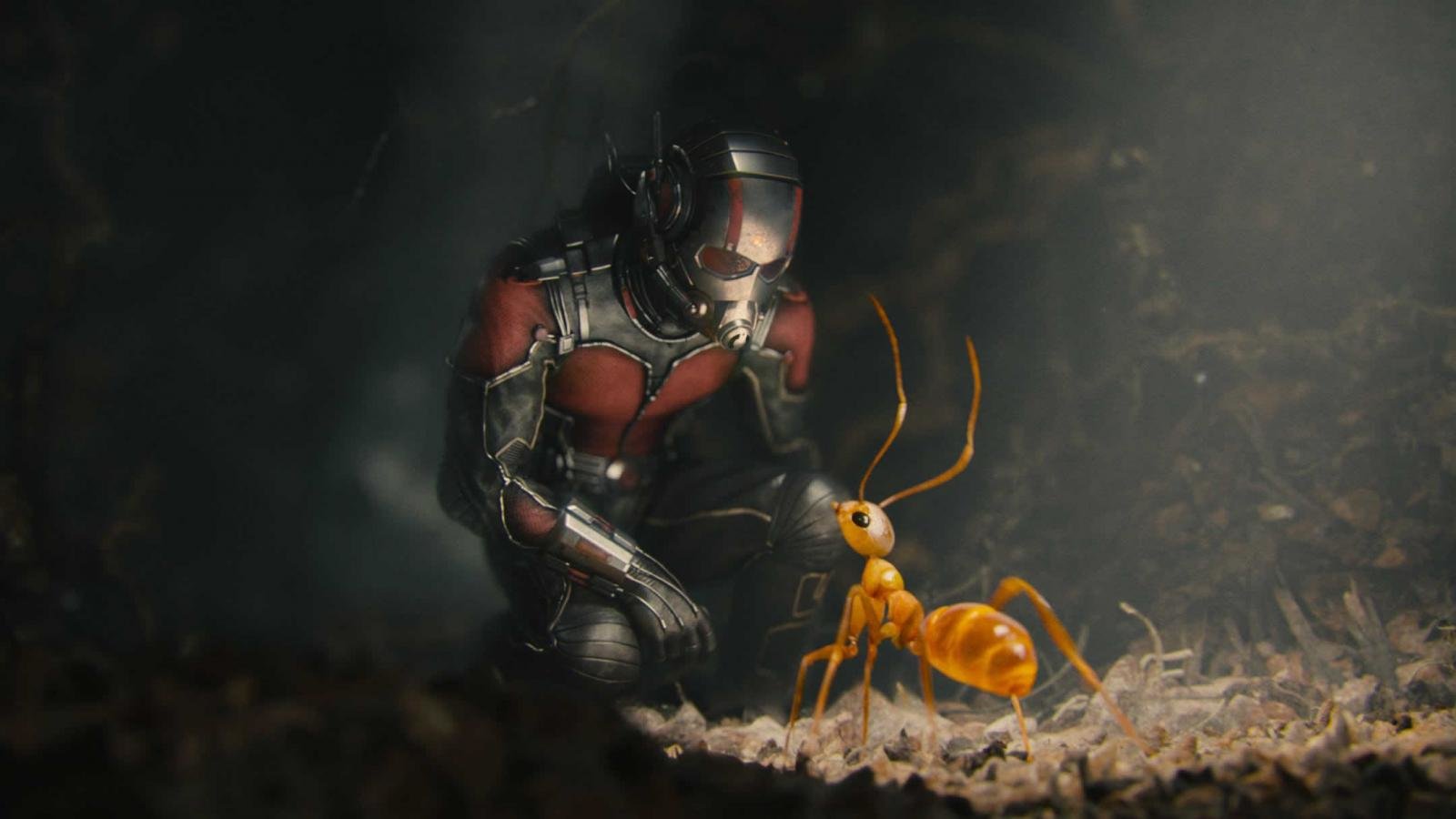 Awesome Ant-Man free background ID:254621 for hd 1600x900 PC