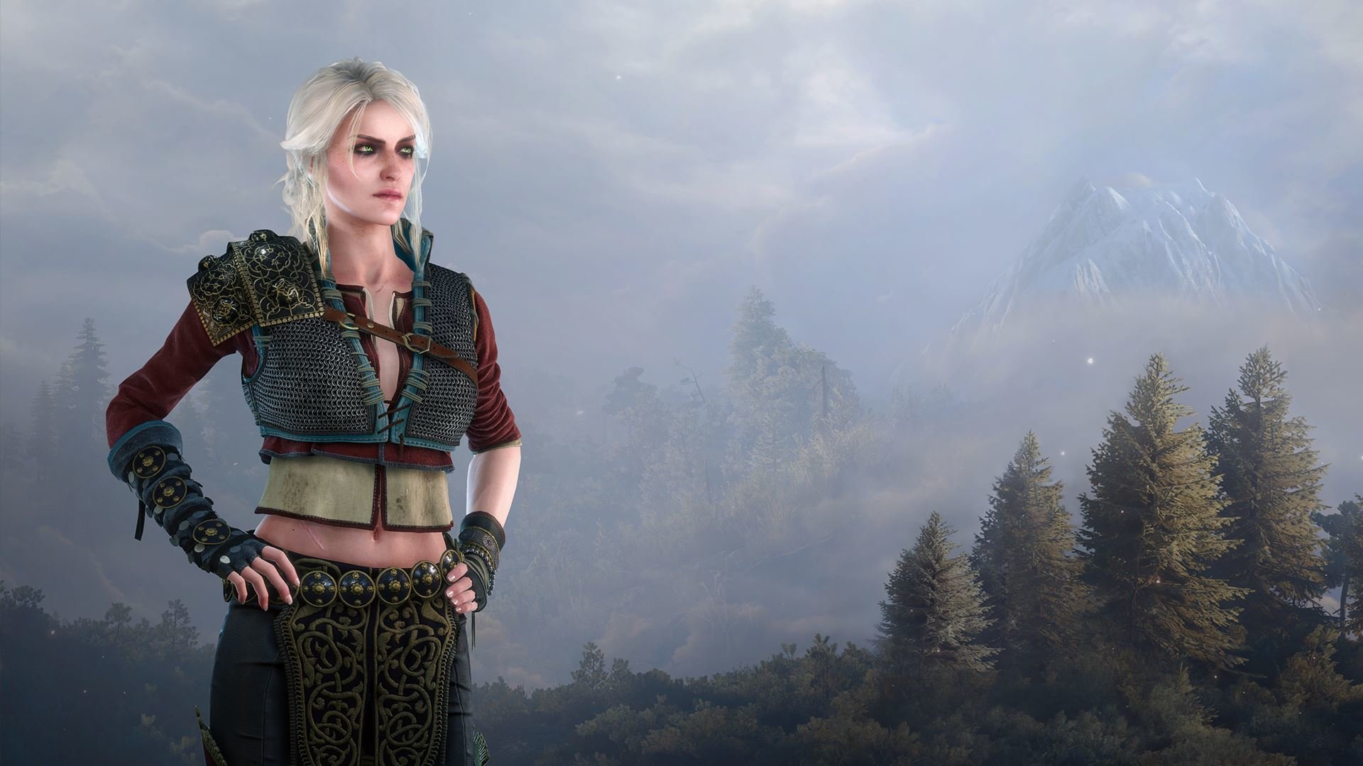 Free The Witcher 3: Wild Hunt high quality background ID:17922 for full hd 1920x1080 PC