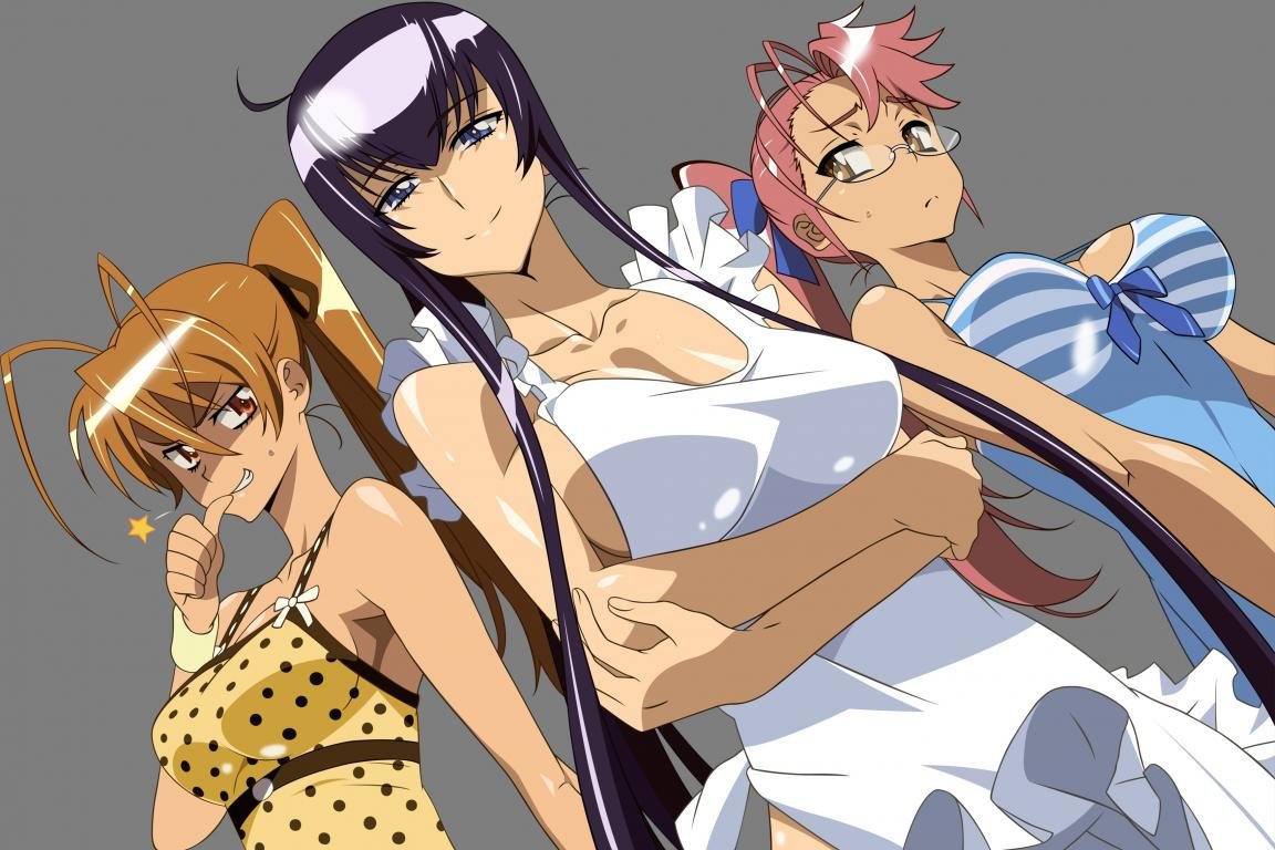 Download hd 1152x768 Highschool Of The Dead desktop background ID:447748 for free