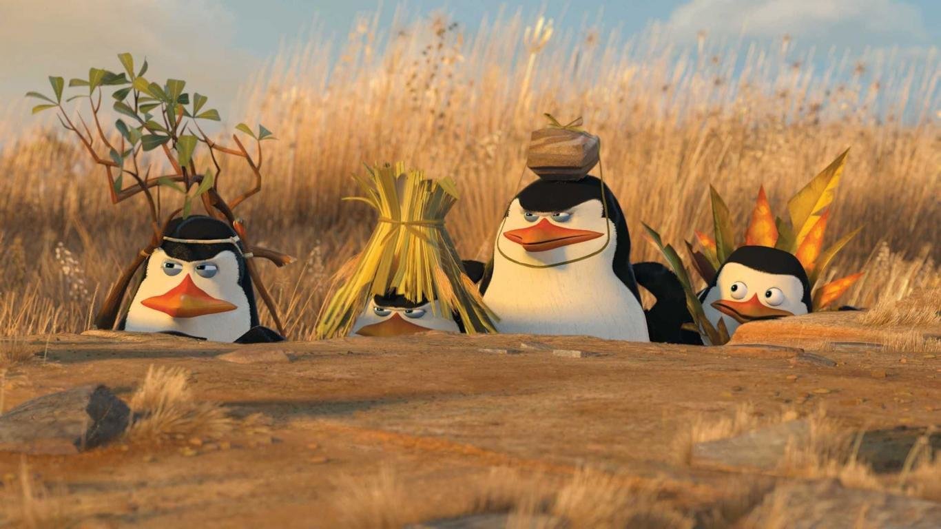 High resolution Penguins Of Madagascar 1366x768 laptop background ID:385310 for PC