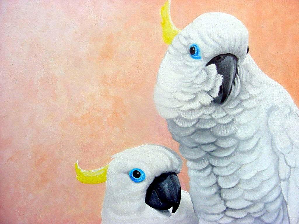 Best Sulphur-crested Cockatoo wallpaper ID:130228 for High Resolution hd 1024x768 computer