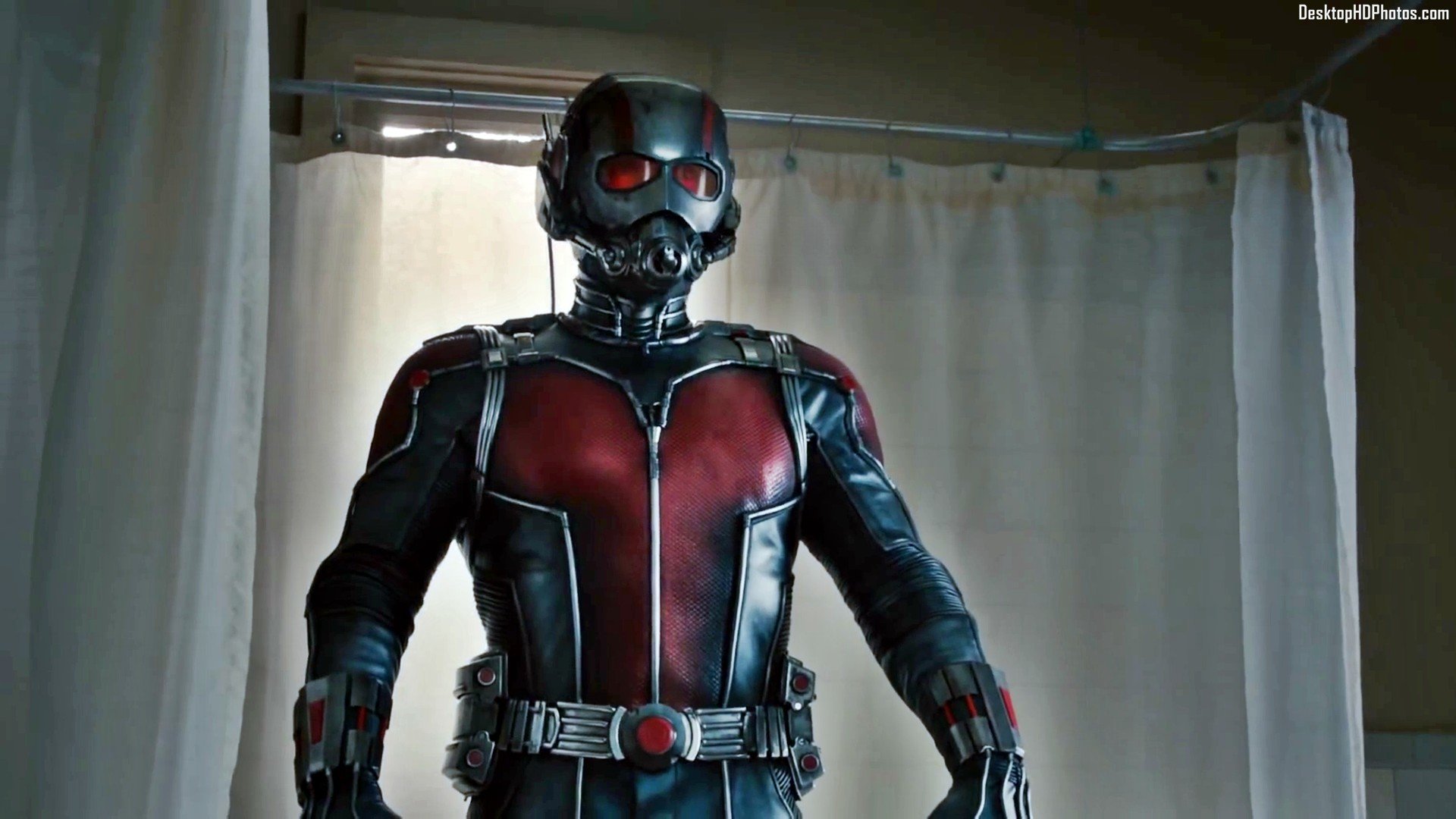 Free Ant-Man high quality wallpaper ID:254637 for full hd 1080p PC