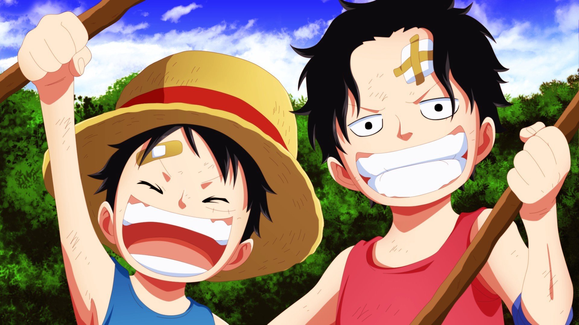 Free One Piece high quality background ID:314022 for 1080p desktop