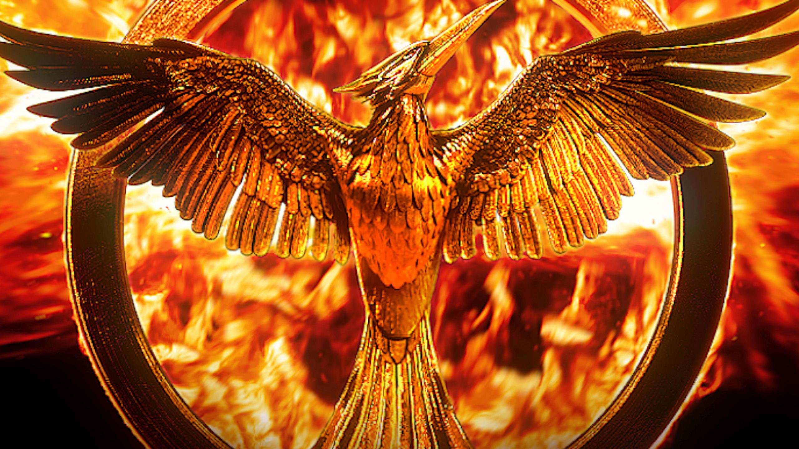 Awesome The Hunger Games: Mockingjay - Part 2 free background ID:341753 for hd 2560x1440 desktop