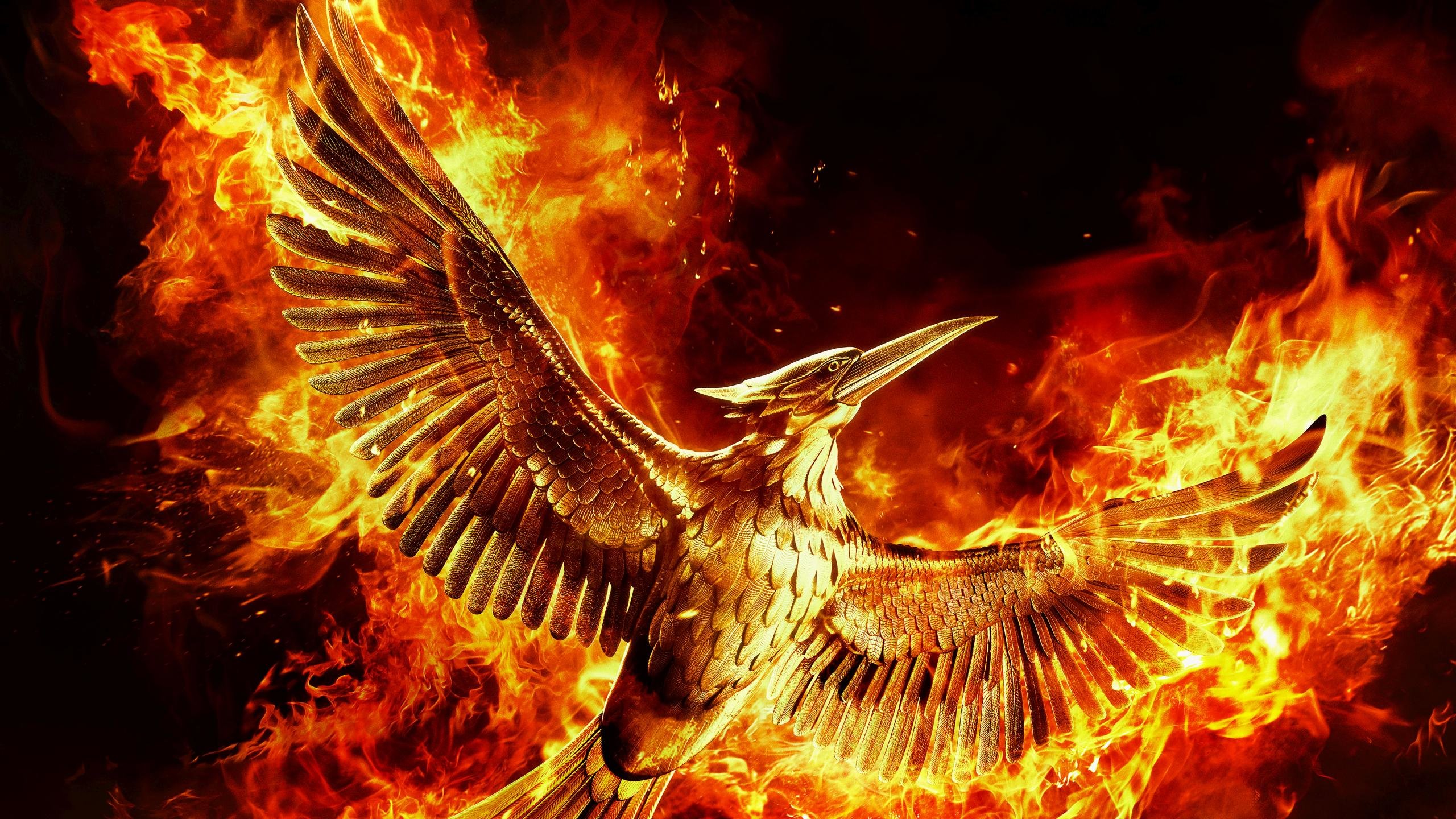 Free download The Hunger Games: Mockingjay - Part 2 background ID:341756 hd 2560x1440 for PC
