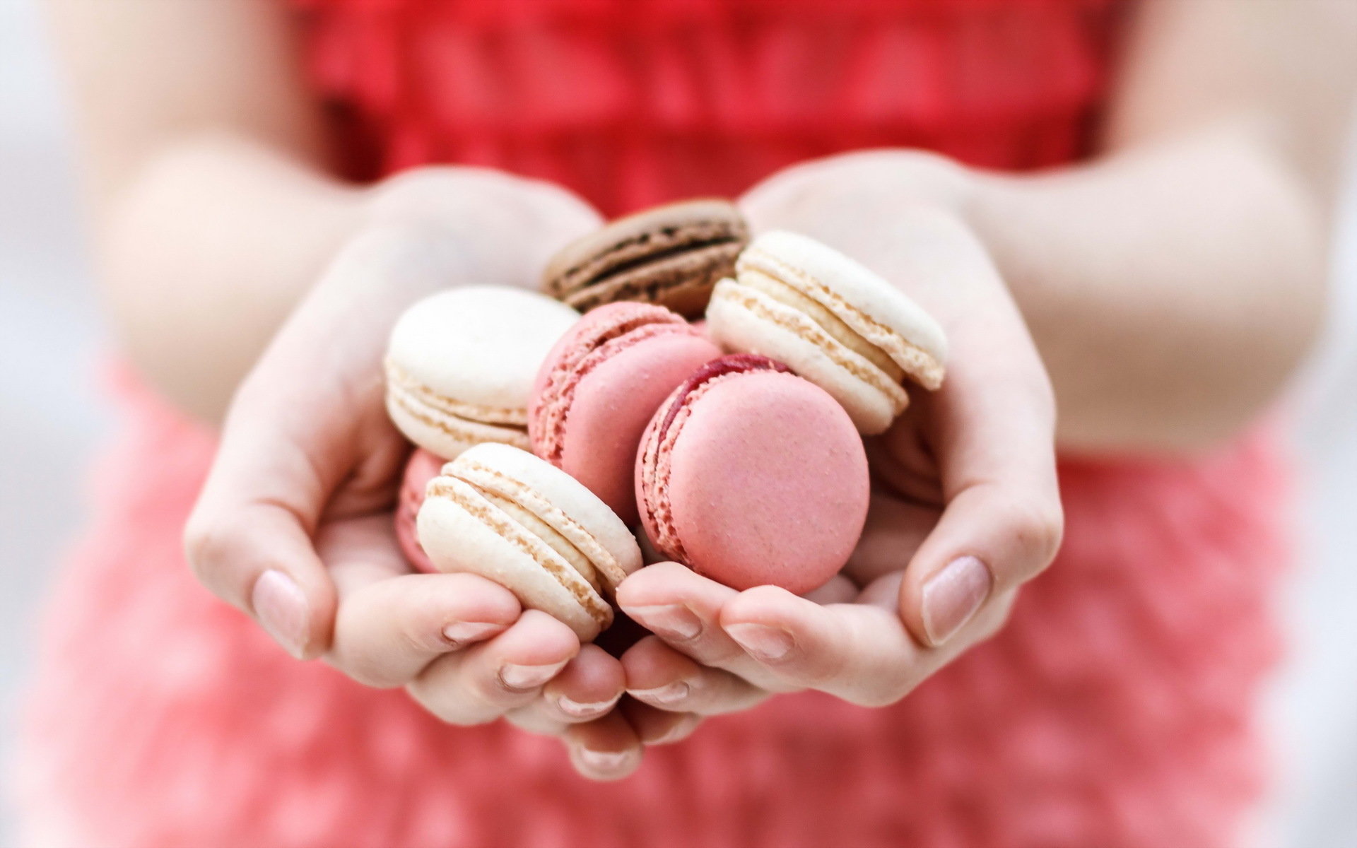 Download hd 1920x1200 Macaron computer wallpaper ID:420902 for free