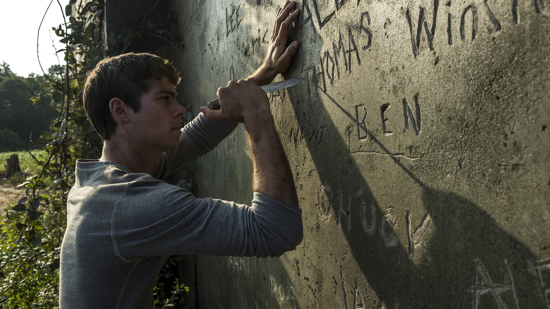 Download full hd 1080p The Maze Runner desktop background ID:131237 for free
