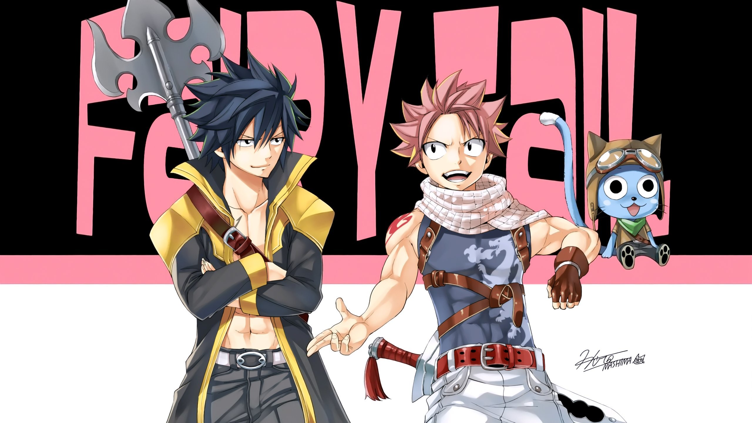 Download hd 2560x1440 Fairy Tail computer background ID:40926 for free