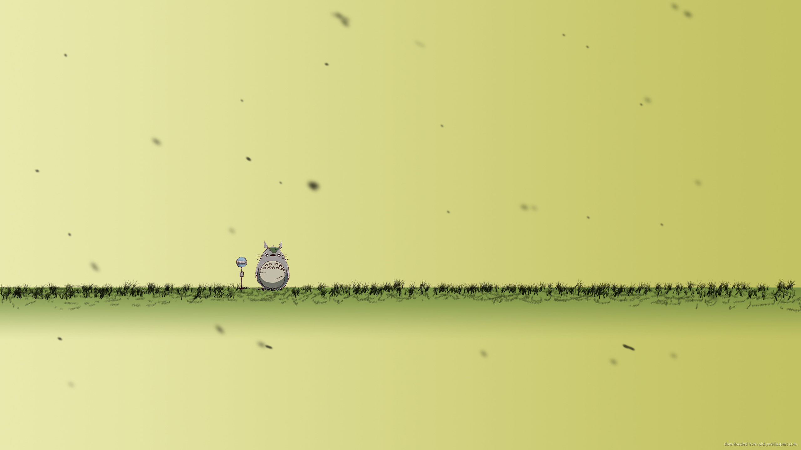 Free download My Neighbor Totoro background ID:259347 hd 2560x1440 for computer