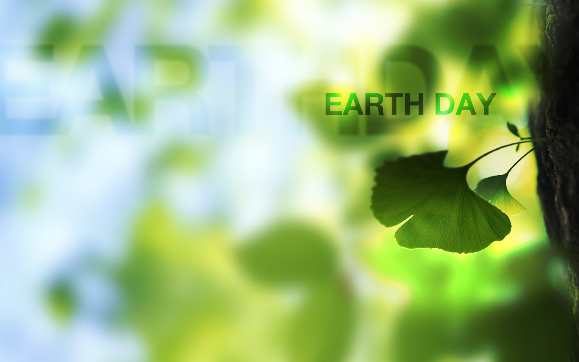 Free Earth Day high quality background ID:469978 for hd 1920x1200 computer