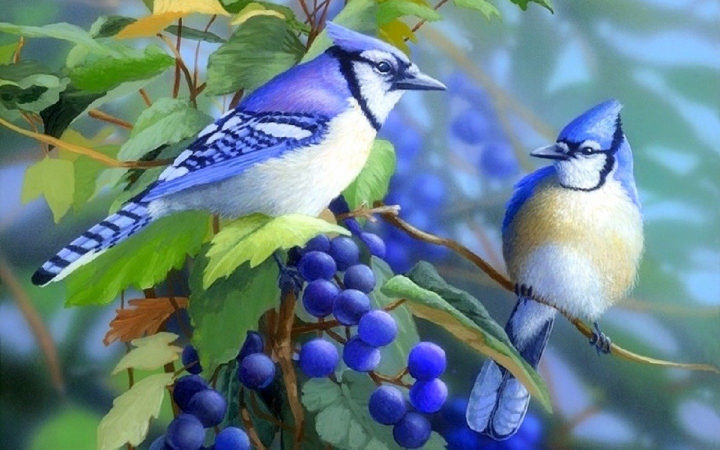 Free Blue Jay high quality wallpaper ID:158380 for hd 1440x900 PC